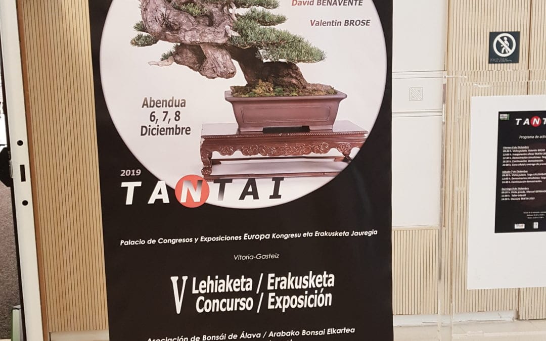 Victoria Gasteiz TANTAI 2020