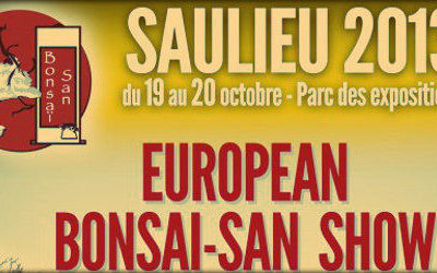 Saulieu 2013