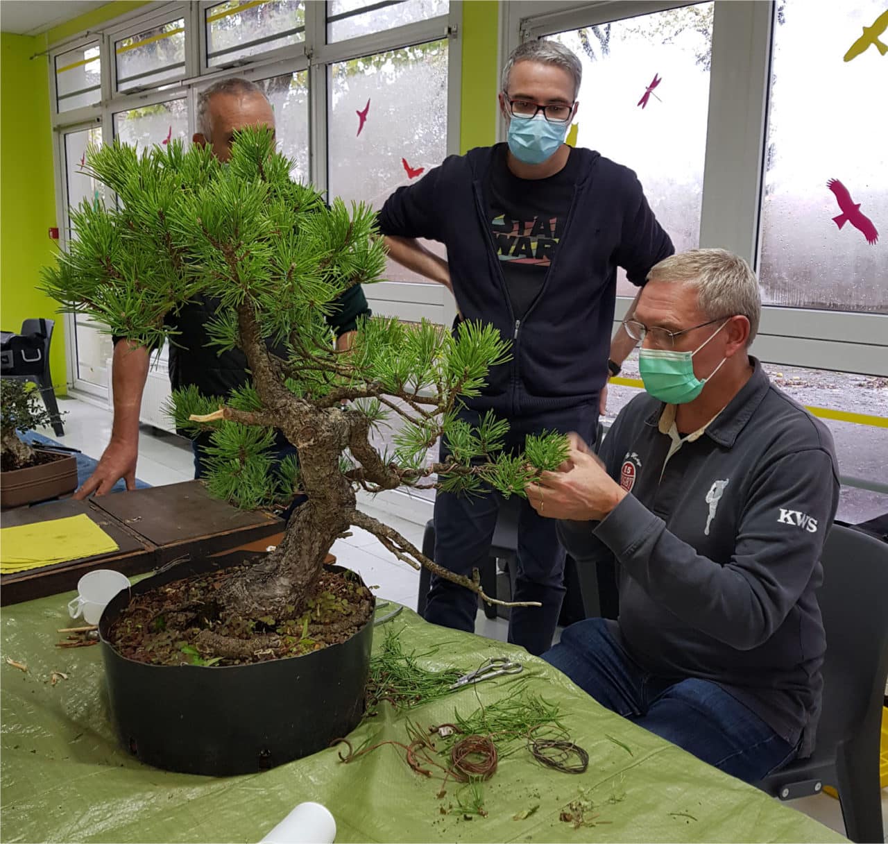 La vie du club Bonsai Club du SudOuest