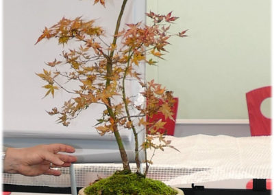 Atelier le 13 novembre 2021 à Parempuyre