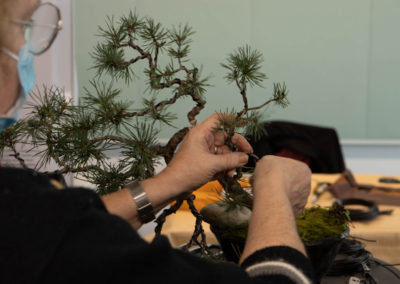 Atelier le 8 janvier 2022 Salle La Cigogne à Parempuyre