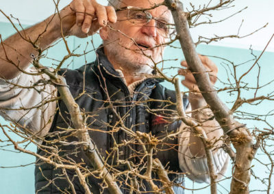 ATELIER LE 12 MARS 2022 SALLE LA CIGOGNE À PAREMPUYRE avec Patrick Dujardin