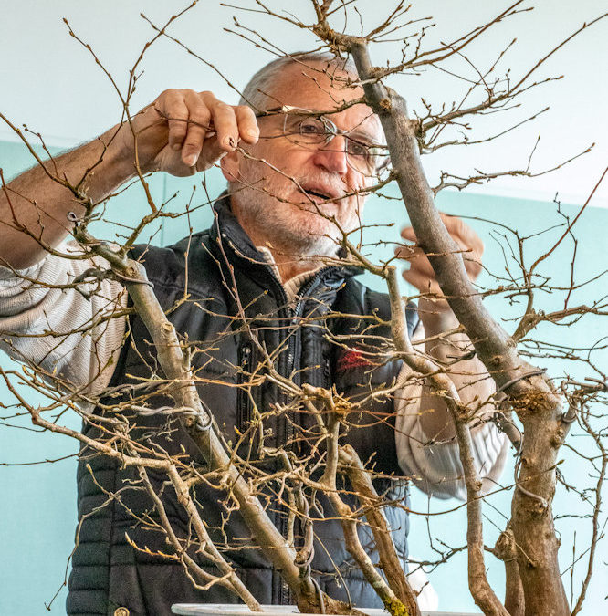 ATELIER LE 12 MARS 2022 SALLE LA CIGOGNE À PAREMPUYRE avec Patrick Dujardin