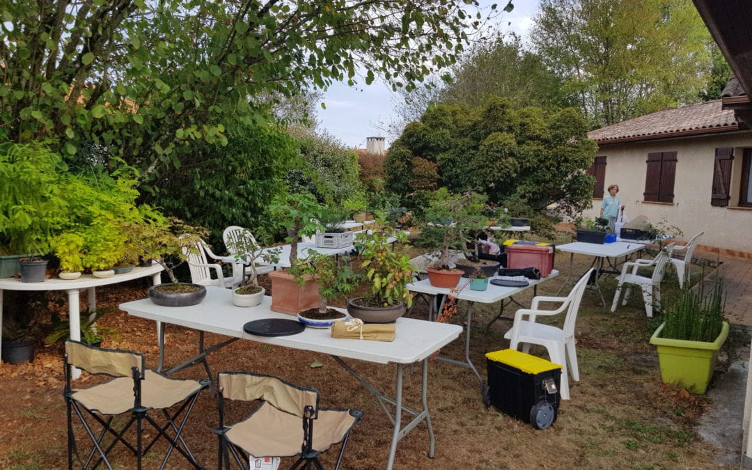 ATELIER du JEUDI 25 AOÛT 2022 CHEZ FRANCOIS T. QUI NOUS ACCUEILLE DANS SON JARDIN.