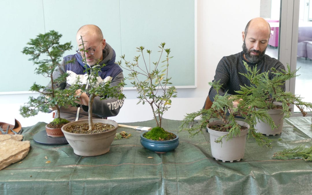 ATELIER LE SAMEDI 17 DÉCEMBRE SALLE LA CIGOGNE À PAREMPUYRE