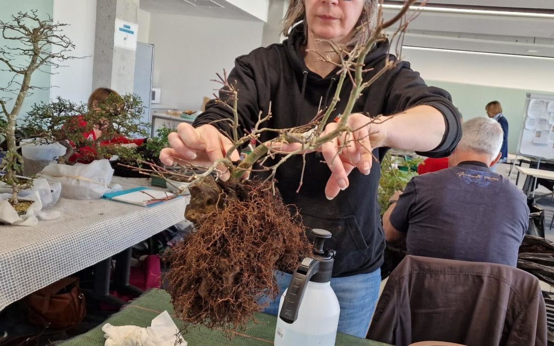 ATELIER LE SAMEDI 18 février 2023 rempotages, créations sont à l’ordre du jour.