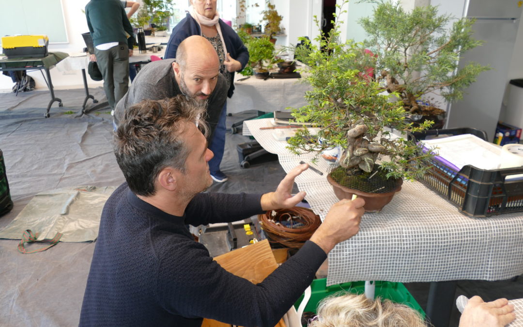 ATELIER LE SAMEDI 15 ET LE DIMANCHE 16 AVRIL 2023 SALLE LA CIGOGNE À PAREMPUYRE AVEC HERVE DORA