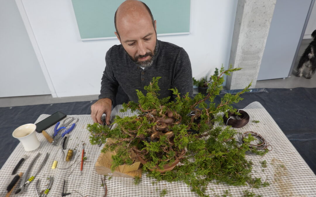 ATELIER LE 27 ET 28 OCTOBRE 2023 SALLE LA CIGOGNE À PAREMPUYRE AVEC LIONEL FORSANS