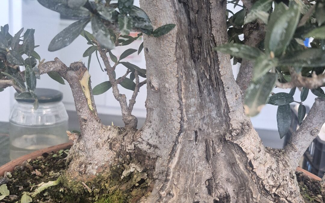 Atelier avec le formateur national, Jean Bernard Gallais le 17 et 18 janvier 2026